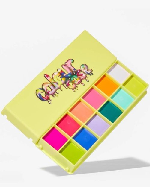 MADE BY MITCHEL COLOR CASE PALLETE  ELECTRIC