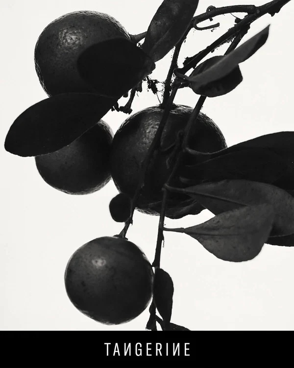 Fenty Eau De Parfum - Image 4